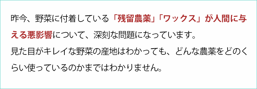 「残留農薬」「ワックス」が人間に与える悪影響